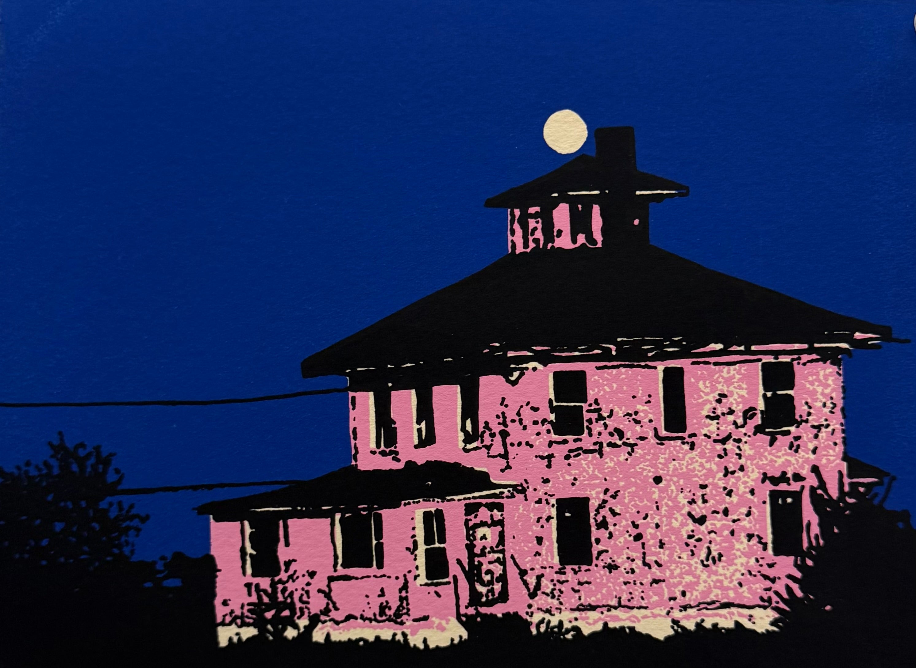 The Pink House 3